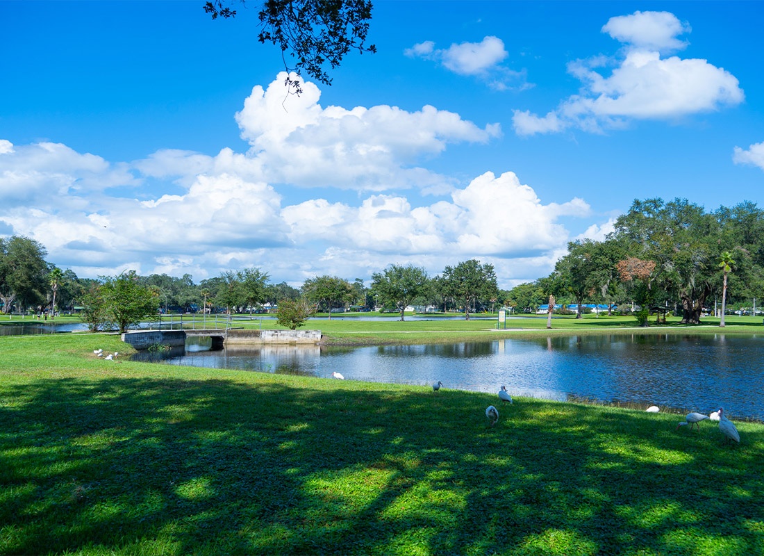Contact - Lake Zephyr in the City of Zephyrhills in Pasco County, Florida