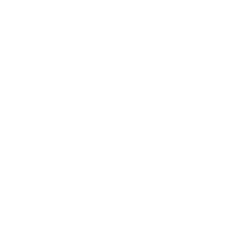 Statewide Insurance - Logo 800 White